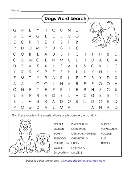 Intermediate (Grades 3-6) - Dogs