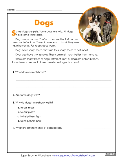 Short Passages - Dogs (Short) Short Passages - Dogs (Short)
