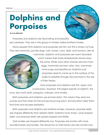 Reading Passages - Dolphins and Porpoises Reading Passages - Dolphins and Porpoises