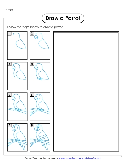 Zoo - Draw a Parrot