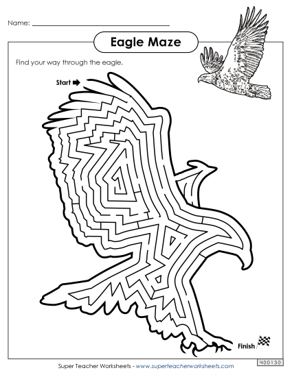 Hard - Eagle Maze Hard - Eagle Maze