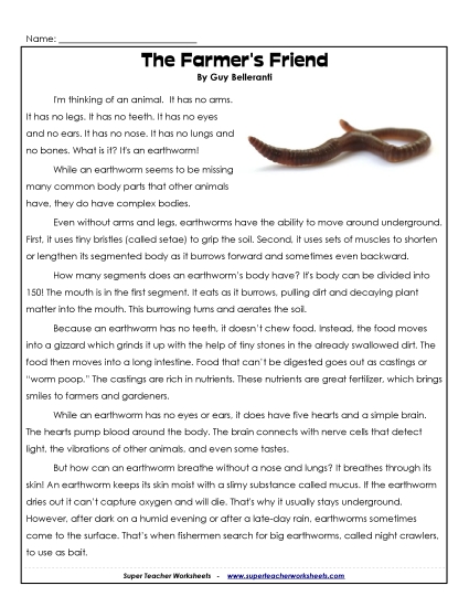 Other Animals - Earthworms