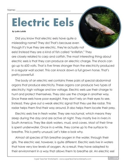 Fish - Electric Eels