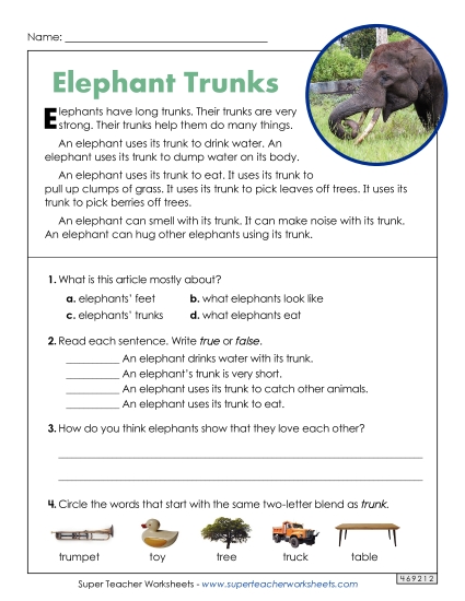 Short Passages - Elephant Trunks (Short Article)