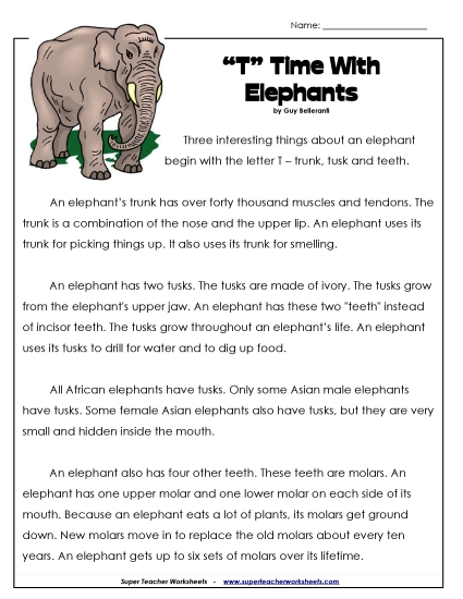Nonfiction - Elephants Nonfiction - Elephants