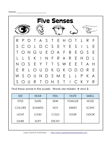 Basic (Grades K-3) - Five Senses Basic (Grades K-3) - Five Senses