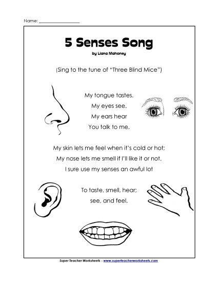 Worksheets - Five Senses Song