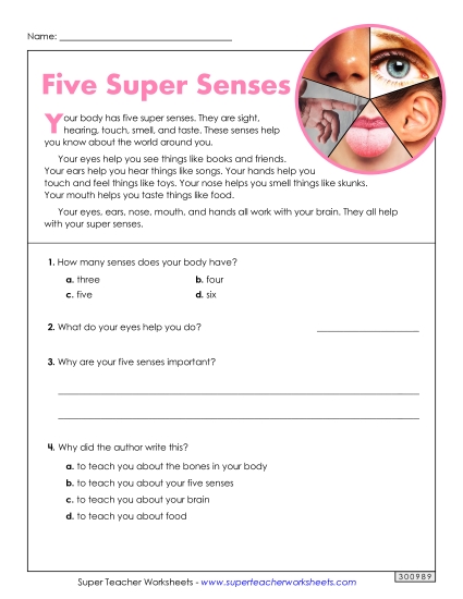 Short Passages - Five Super Senses (Short, Nonfiction) Short Passages - Five Super Senses (Short, Nonfiction)