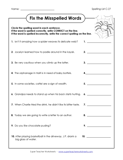 Worksheets - Fix the Mistakes (C-27) 