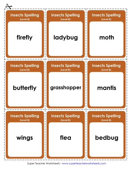 Flashcards, Word Wheel, and Slider - Flashcards (B-Insect Words)