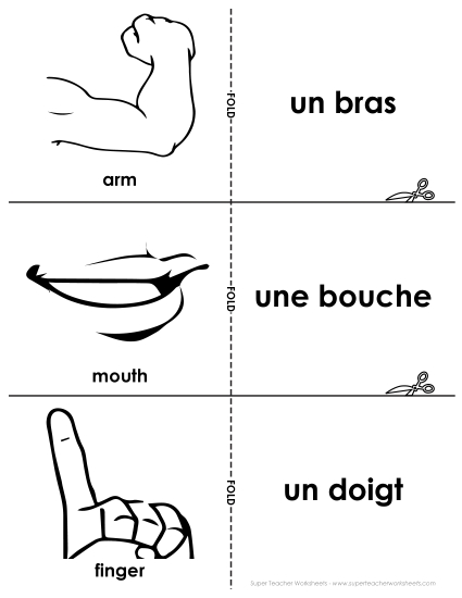 Body Parts (Parties du corps) - Flashcards: Body Parts Body Parts (Parties du corps) - Flashcards: Body Parts