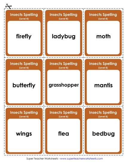 Worksheets and Activities - Flashcards (Insects) Worksheets and Activities - Flashcards (Insects)