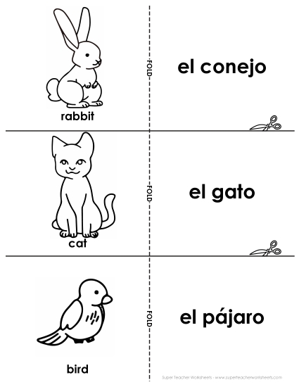 Pets (Mascotas) - Flashcards: Pets