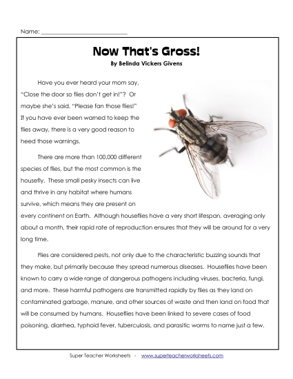 Articles with Questions - Flies 