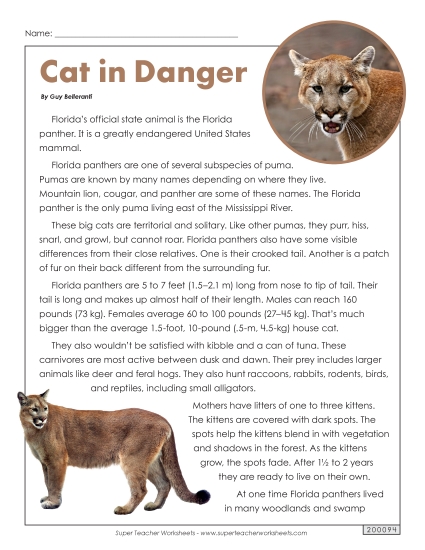 Reading Comprehension - Florida Panther Reading Comprehension - Florida Panther