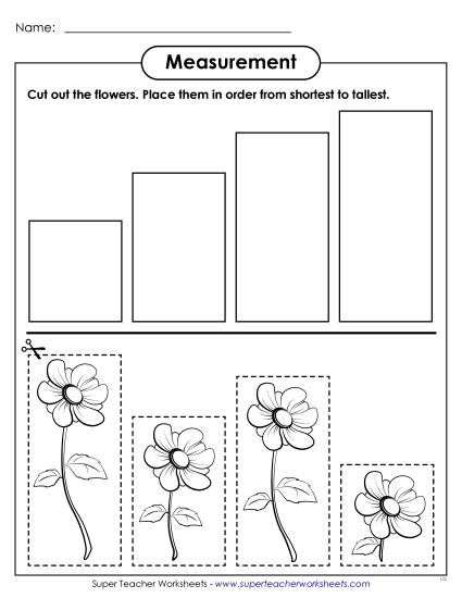 Longer and Shorter - Flowers: Shortest to Tallest