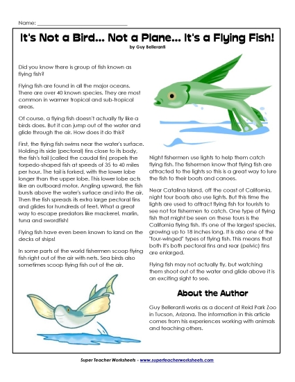 Fish - Flying Fish Fish - Flying Fish