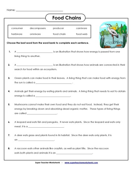Food Chain Worksheets - Food Chain: Fill-in-the-Blanks 