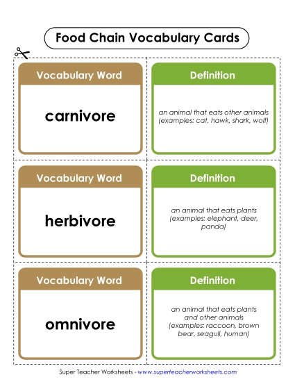 Food Chain Worksheets - Food Chain Vocab Cards