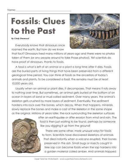Rocks and Minerals - Fossils: Clues to the Past Rocks and Minerals - Fossils: Clues to the Past