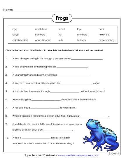 Worksheets - Frog Life Cycle Questions