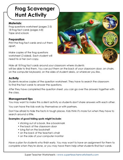 Activities - Frog Scavenger Hunt