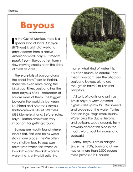 Reading Comprehension - Full Article: Bayous Reading Comprehension - Full Article: Bayous