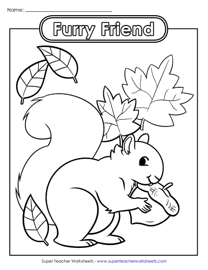 Advanced Pictures (For Older Students) - Furry Friend