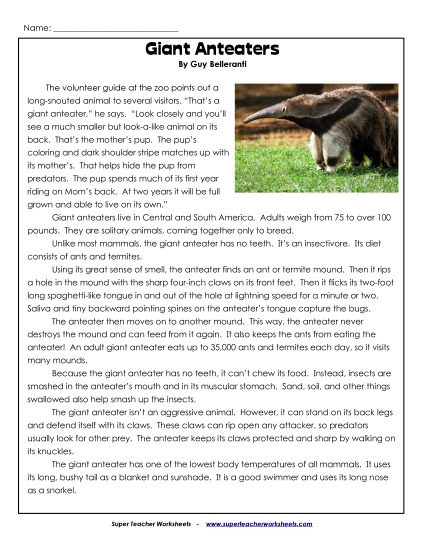 Mammals - Giant Anteaters Mammals - Giant Anteaters
