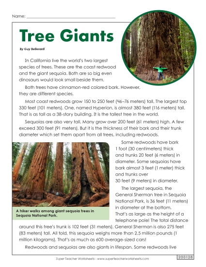 Reading Comprehension - Giant Sequoias and Redwoods