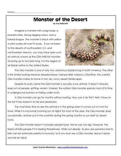 Reptiles - Gila Monster Reptiles - Gila Monster