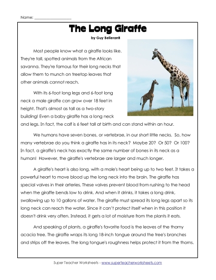 Nonfiction Articles - Giraffes Nonfiction Articles - Giraffes