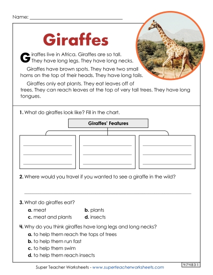 Short Passages - Giraffes (Short Article)