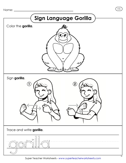 Animals - Gorilla (Printable PDF Worksheet)