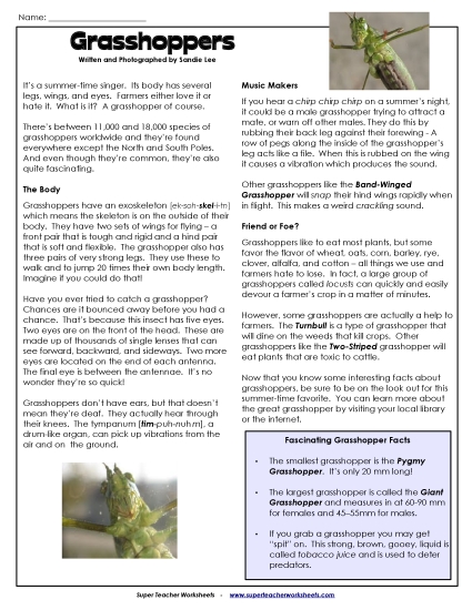 Articles with Questions - Grasshoppers Articles with Questions - Grasshoppers