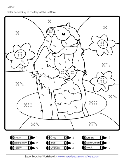 Counting and Numbers (Very Basic) - Groundhog Counting Picture (Very Basic)