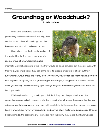 Nonfiction Articles - Groundhog or Woodchuck? Nonfiction Articles - Groundhog or Woodchuck?