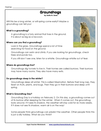Reading Comprehension - Groundhogs (Non-Fiction; Article)
