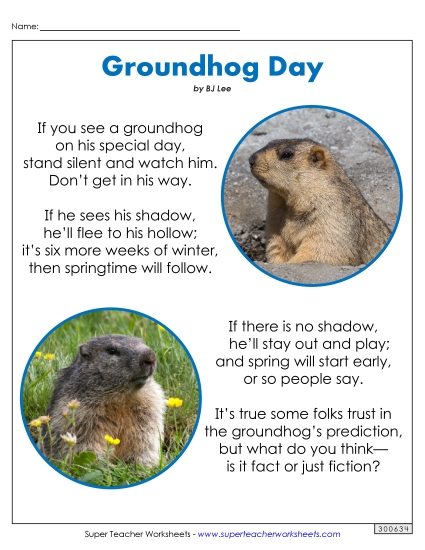 Reading Comprehension - Groundhog's Special Day (Poem)