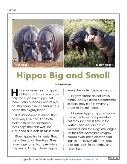 Nonfiction Articles - Hippos Big and Small Nonfiction Articles - Hippos Big and Small