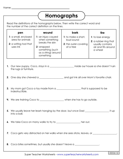 Homograph Worksheets - Homographs: Fill in the Blanks 3