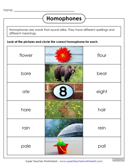 Mixed Homophones - Homophones 4