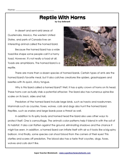 Reptiles - Horned Lizards Reptiles - Horned Lizards