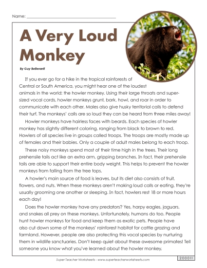 Mammals - Howler Monkeys