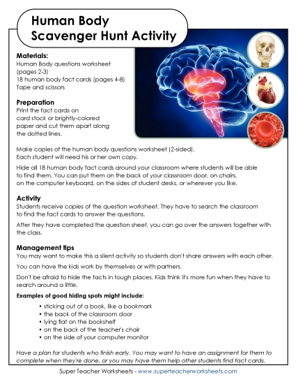 Human Body Scavenger Hunt Human Body Scavenger Hunt