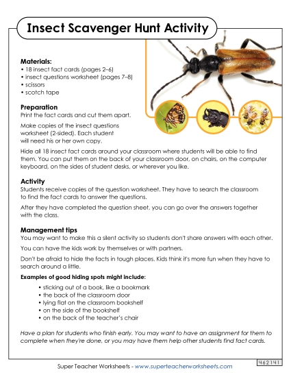 Worksheets and Activities - Insect Scavenger Hunt