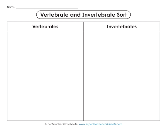 Vertebrate & Invertebrate Sorts - Invertebrate-Vertebrate Cut-and-Sort