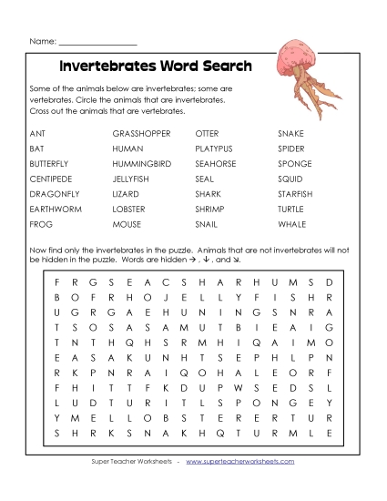 Puzzles - Invertebrates Word Search