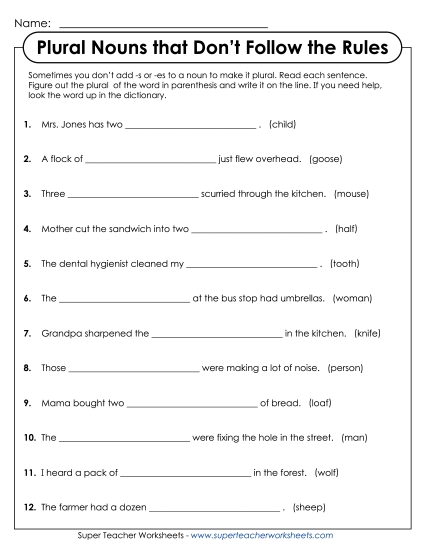 Singular & Plural Nouns - Irregular Plural Nouns