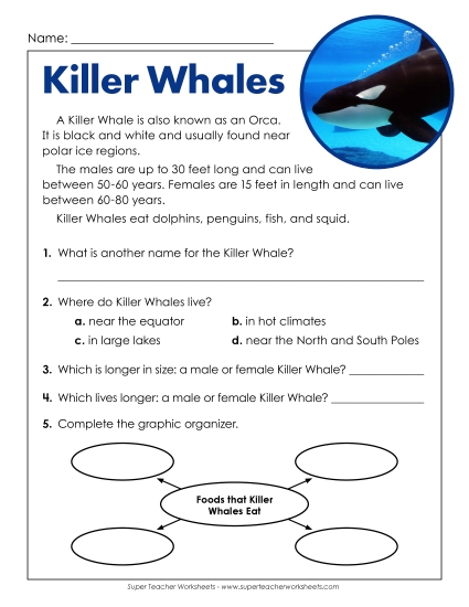 Short Passages - Killer Whales (Short) Short Passages - Killer Whales (Short)